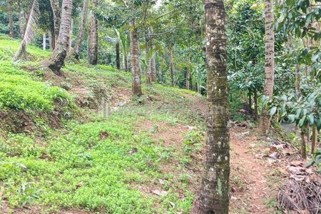 Jual Tanah 9000 m2 di Manikyang Selemadeg Tabanan Bali