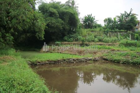 Jual Cepat Tanah dan Empang di Cihideung Hilir, Ciampea, Bogor
