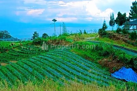 Dijual Tanah View Danau Toba dan Bukit Sipisopiso, Karo