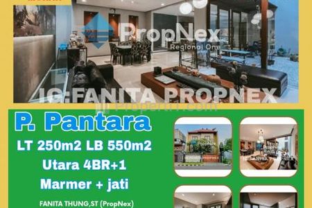 Rumah Mewah Dijual MURAH! Taman Permata Buana Cluster Baru Pulau Pantara Jakarta Barat 4+1 Kamar Semi Furnished