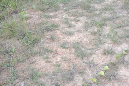 Dijual Tanah di Aimas, Sorong, Butuh Duit, Harga Cocok Langsung Lepas