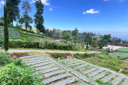 Jual Tanah Datar View Cantik 800m2 di Kemuning, Karanganyar, Solo, Jawa Tengah