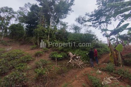 Dijual Tanah Kebun Produktif dan Strategis Pinggir Jalan Raya di Bojonggambir, Tasikmalaya