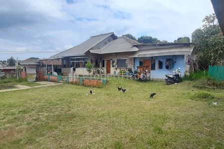 Jual Kebun Alpukat dan Sayuran Lengkap dengan Green House Kandang Sapi dan Domba di Lembang Bandung Barat