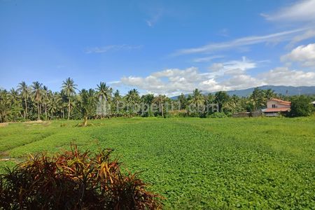 Jual Murah Nego Tanah SHM 6 Hektar di Raya Manado - Bitung, Kalawat, Minahasa, Sulawesi Utara