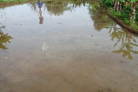 Jual Tanah Berupa 2 Kotak Sawah di Citamiang, Sukabumi, Jawa Barat