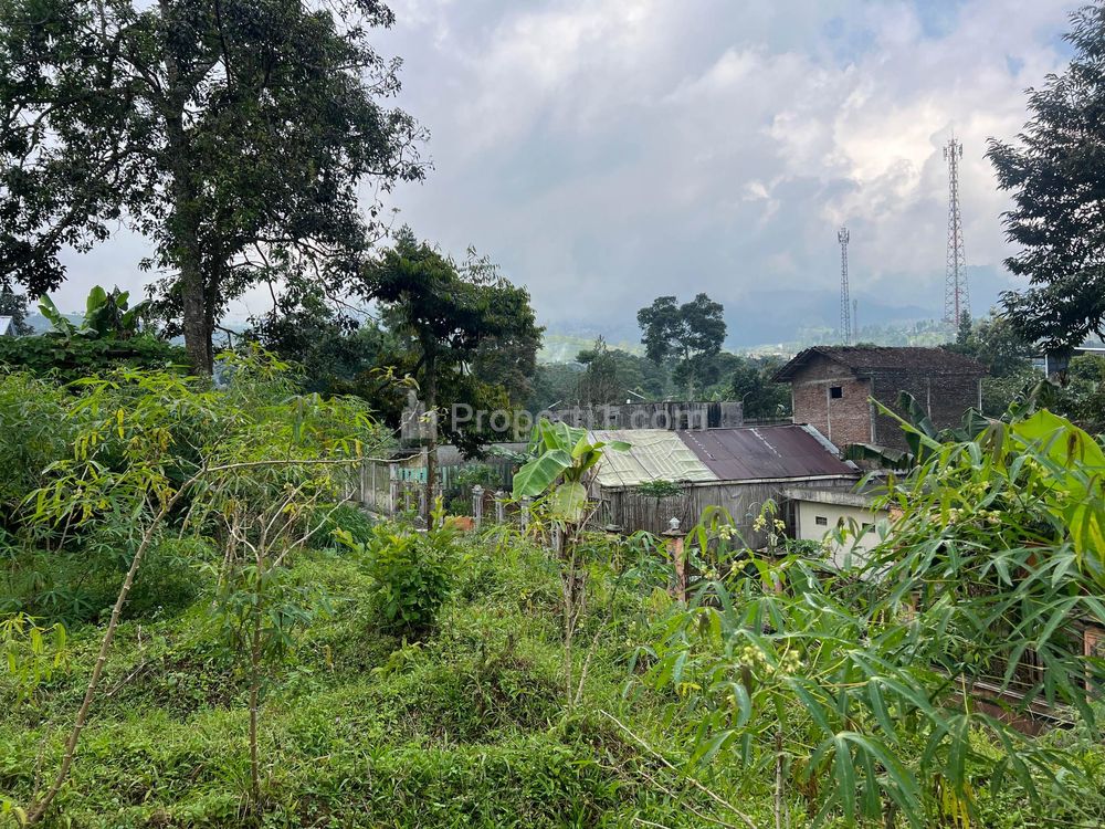 Jual Tanah Strategis 1 Menit Dari Kebun Teh Kemuning