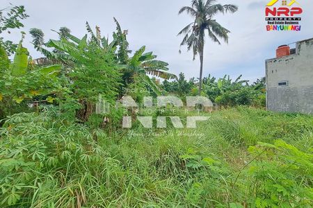 Jual Tanah Harga 100 Jutaan di Kawasan Perumahan Sobo Banyuwangi