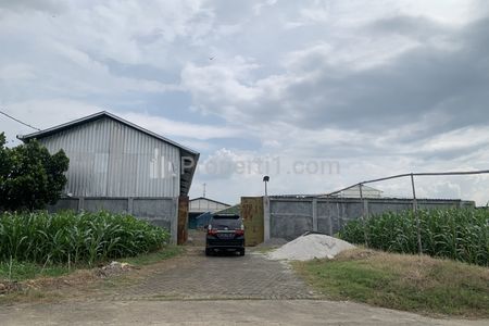 JUAL PABRIK PENYIMPANAN PRODUKSI JAGUNG