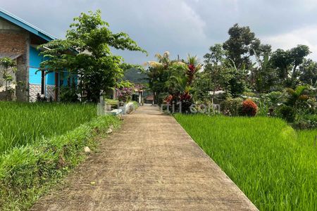 Dijual Tanah Istimewa Dekat Sungai 750m Utara Candi Cetho