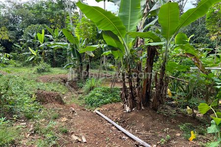 Jual Tanah Datar 45 Juta Siap Bangun Kerjo Karanganyar
