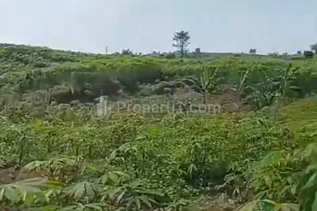 Jual Murah Tanah SHM 200 Hektar di Babakan Madang Sentul, Zona Kuning Perumahan, Cocok Rumah Subsidi, Bogor