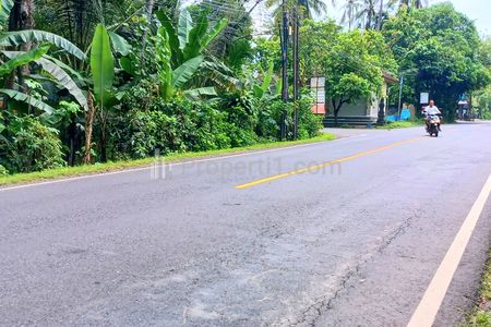Disewakan Tanah 1500 m2 di Jln Padangbai Antiga Manggis Karangasem Bali