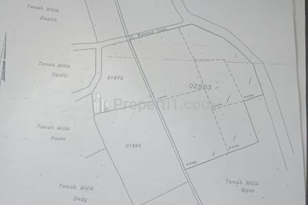 Jual Tanah SHM Murah Mepet NJOP Luas 2,7 Hektar Lebar Muka 120 Meter di Desa Curuk, Tanah Baru, Beji, Dekat Pintu Tol Krukut, Kampus UI Depok