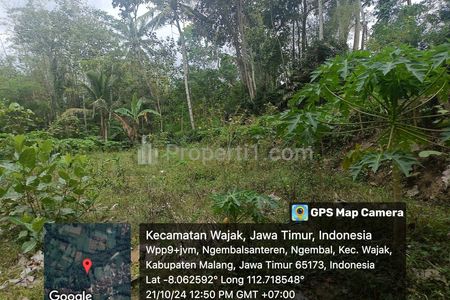 Dijual Cepat Kebun Jeruk dan Pepaya Dekat Jalan Poros Kampung Wajak, Malang
