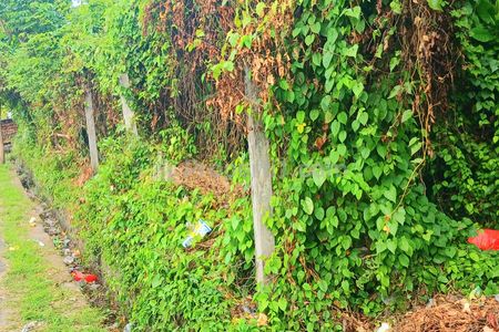 Disewakan Tanah 5480 m2 di Jalan Sekar Sari Dekat Sanur, Renon Denpasar Bali