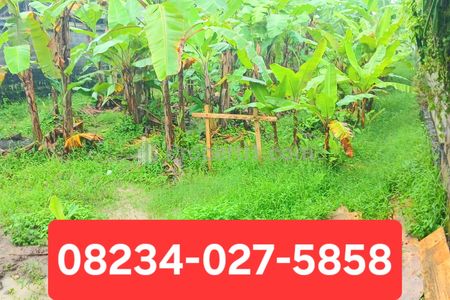 Disewakan Tanah 1000 m2 di Kapal Mengwi Badung Bali