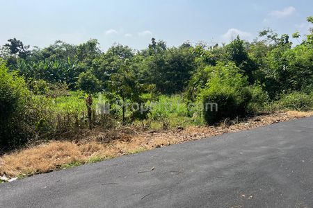 Dijual Tanah Kebun Buah 2020m² Kedawung Sragen