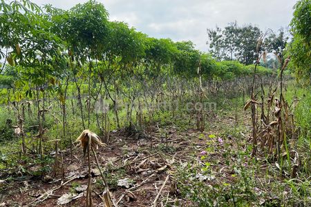 Dijual Tanah Datar 750m2 125Juta di Kedawung, Sragen