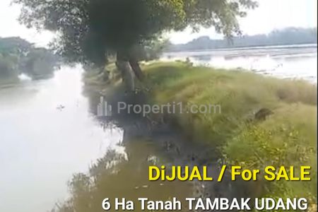 Jual Murah Tanah Tambak Udang Luas 6 Hektar di Desa Kedungpandan, Kupang, Jabon, Sidoarjo