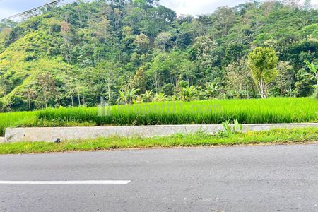 Jual Tanah 469m² Lokasi Tepi Jalan Raya Strategis untuk Bangun Villa di Jenawi, Karanganyar, Solo