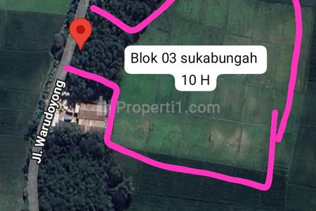 Jual Murah Nego Tanah 20 Hektar Bisa Perluas 100 Hektar, untuk Perumahan di Sukabungah, Bojongmangu, Dekat Kawasan GIIC, Bekasi, Jawa Barat