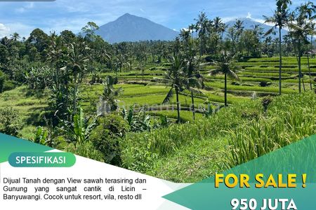 Jual Tanah Komersil View Terasering dan 5 Gunung di Rembang Village - Banyuwangi