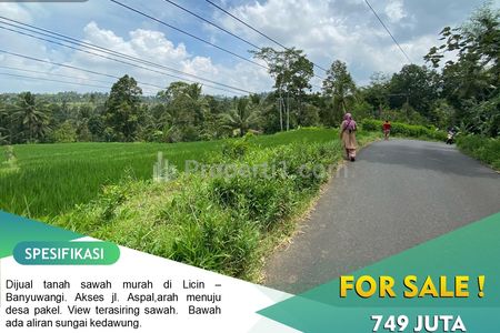 Jual Tanah Sawah Produktif Tepi Jalan Aspal di Licin, Banyuwangi