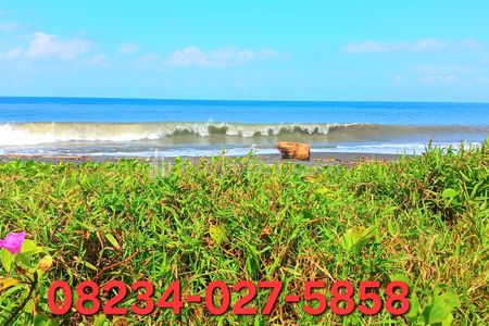 Dijual Tanah 2,53 Hektar Los Pantai Jl Ida Bagus Mantra Tulikup Gianyar Bali