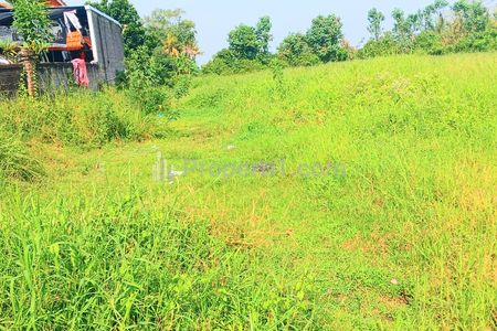 Dijual Tanah 3315 m2 di Gubug Dekat Pantai Yeh Gangga, Kedungu, Tabanan, Bali