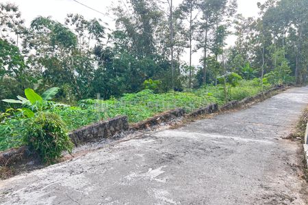 Dijual Tanah Subur 6000m² Kawasan Wisata Karangpandan