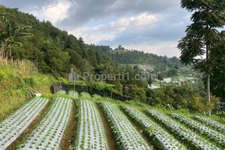 Dijual Tanah View Tanpa Terhalang Daerah Wisata Kemuning Karanganyar