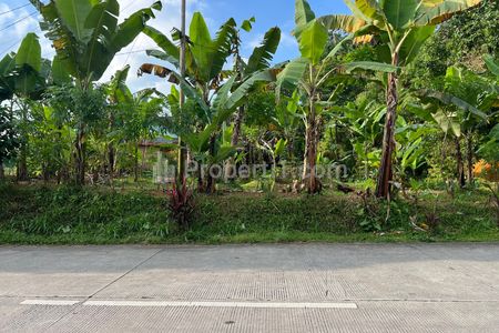 Dijual Tanah Strategis 350 Juta Tepi Jl Raya Kemuning-Karangpandan, Karanganyar