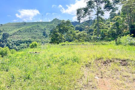 Jual Tanah 5971m² Cocok untuk Wisata View Kebun Teh di Kemuning Karanganyar