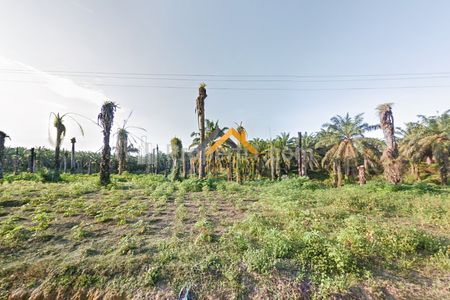 Dijual Tanah Kebun Sawit Produksi Aktif Daerah Gohor Lama - Langkat