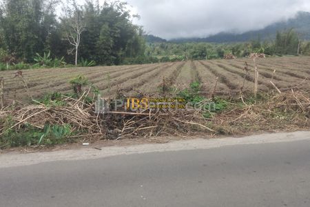 Dijual Tanah Kosong di Daerah Tanjung Barus - Berastagi