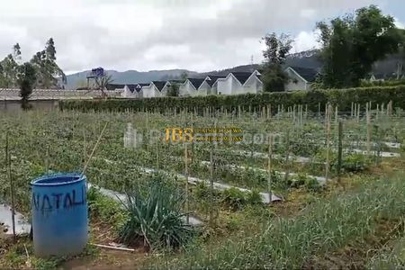 Dijual Tanah Daerah Karo Jalan Kebun Bunga - Dolat Rayat (Dekat Perumahan Gitar Mas Berastagi)