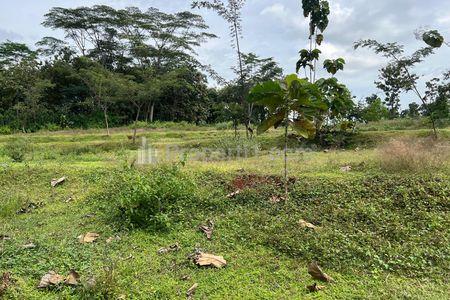 Dijual Tanah Murah 1198m² Hanya 100 Juta di Kerjo, Karanganyar