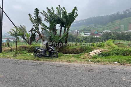 Dijual Tanah 822m² Strategis untuk Café Tepi Jalan Raya Tawangmangu, Karanganyar