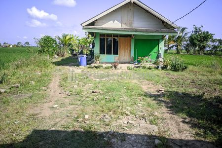 Dijual Rumah + Sawah di Belakang Rumah di Rawajitu, Tulang Bawang, Lampung