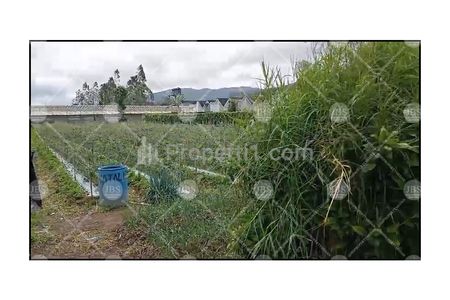 Dijual Tanah Kosong di Daerah Karo Jalan Kebun Bunga - Dolat Rayat