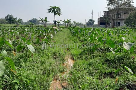 Dijual Kavling di Dramaga Bogor Siap Bangun