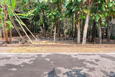 Dijual Tanah Datar 350 Juta Cocok untuk Hunian di Kedawung, Sragen 