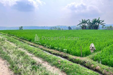 Dijual Tanah View Gunung Lawu 1000m2 di Karanganyar Utara