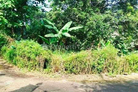 Dijual Tanah SHM Luas di Loji, Bogor Barat