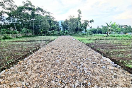 Jual Tanah Kavling 3 Jutaan Per Meter di Citeureup Bogor
