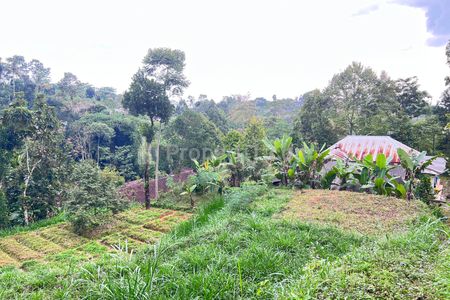 Jual Tanah 800m² Cocok untuk Kebun Buah di Ngargoyoso Karanganyar Jawa Tengah