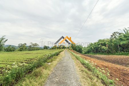 Jual Tanah Kosong Daerah Karo Sumatera Utara di Jalan Kubucolia - Seberaya