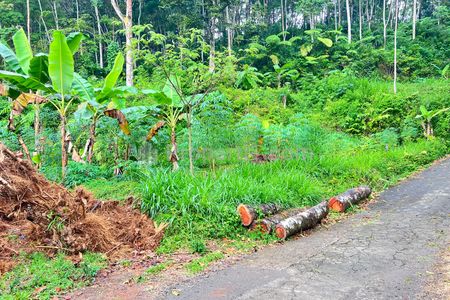 Jual Tanah 1690m² Dekat Aliran Sungai Ngargoyoso, Karanganyar