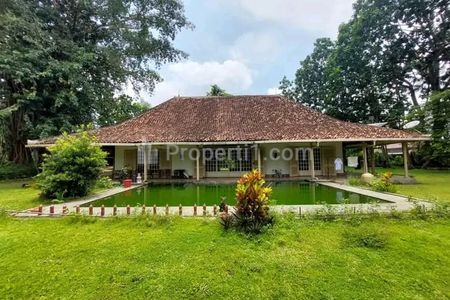 Jual Tanah Bonus Rumah Kolonial dengan Tanah yang Sangat Luas dan Super Premium Jarang Ada di Yogyakarta, Lokasi di Pogung Dekat Kampus UGM